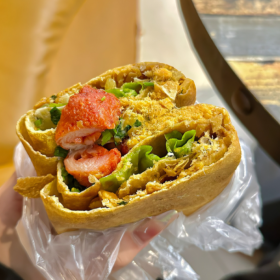 趁着这个风华正茂的年