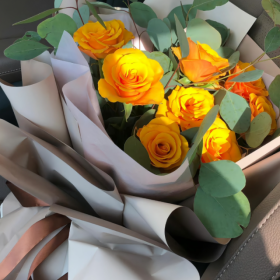 趁着这个风华正茂的年