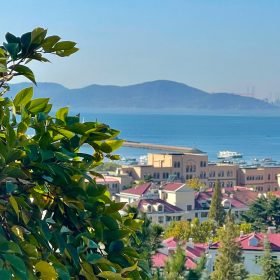 青岛这座城市的魅力 