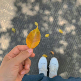 一晃又一秋,有人再见