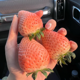 遇到喜欢的必须谈 一