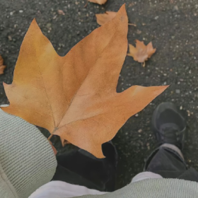 跟一个男人聊天 你会