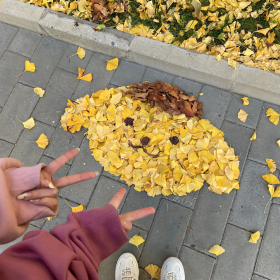 这一年里,无论赚的钱