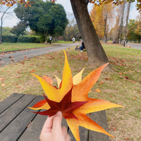 这一年里,无论赚的钱