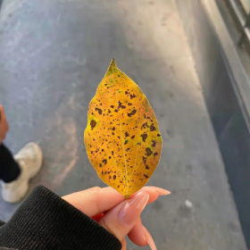 分享图片