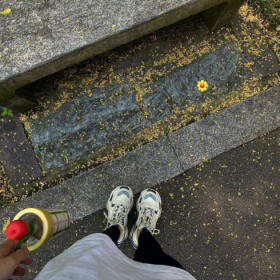 命只有一条,但要命的