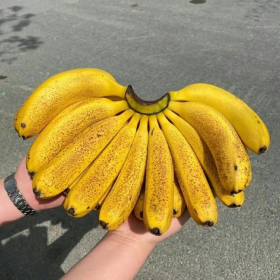 “自私的