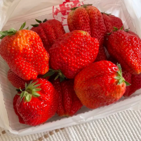 人生得意须尽欢 喝完