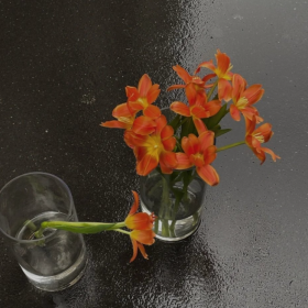 如果你连工作挣钱都要