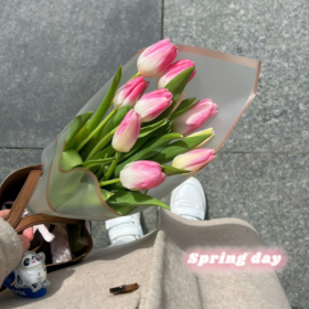 都是小人物,影响不了