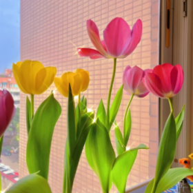 都是小人物,影响不了