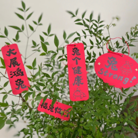 嘴里的碎碎念念是身边