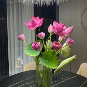 永远不要和别人比生活