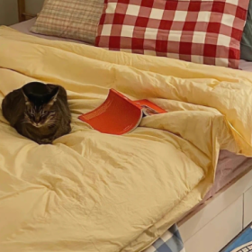 碎碎念说给有回应的人