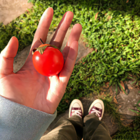 取一抹阳光，敬好运和