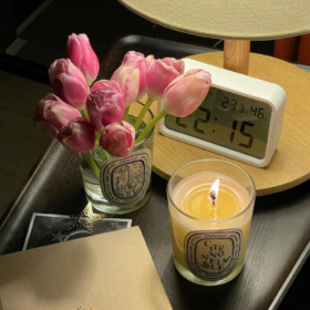 我的一天:摆烂23个