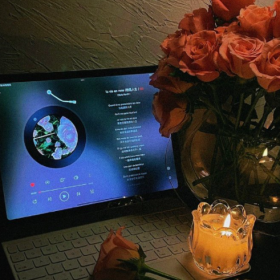 我的一天:摆烂23个