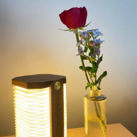 我的一天:摆烂23个