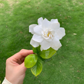 很多关系,不是旧的好