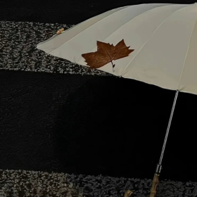 与其匆忙追赶日落 不