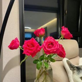 我夸人的时候可能虚情