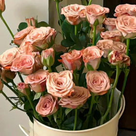 与其匆忙追赶日落 不