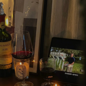 为爱受过伤  下乡插