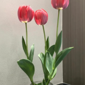 分享图片