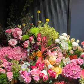 我说爱情怎么一直不顺