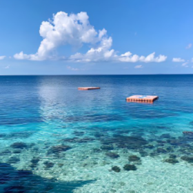 如果爱是一种颜色,那