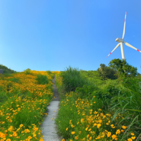 如果爱是一种颜色,那