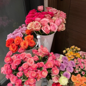 每天e小mo  生活