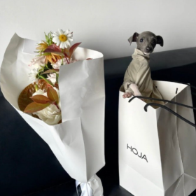 每天e小mo  生活