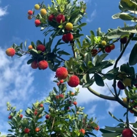 每天e小mo  生活