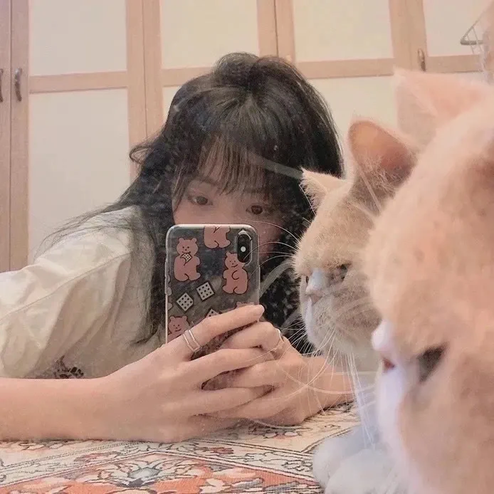 落笔几行