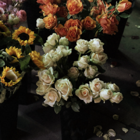 爱本就瞬息万变 可以