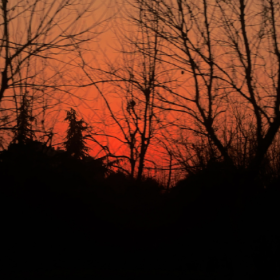 爱本就瞬息万变 可以