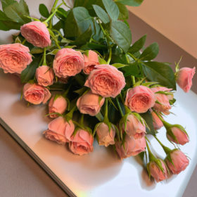 别用自己的嘴巴干扰别