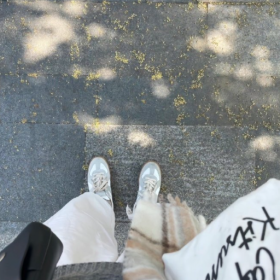 不会拆穿你 但是会远