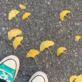不会拆穿你 但是会远