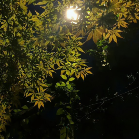 “不联系