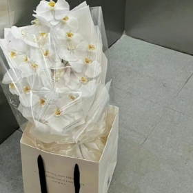 分享图片