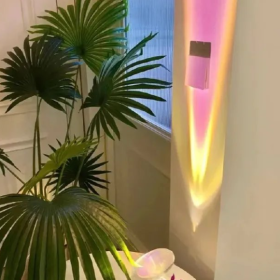 并不是每场相逢结局 