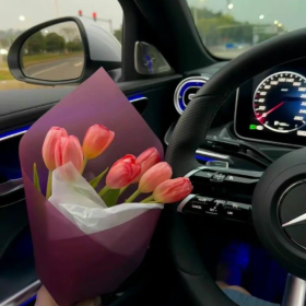 希望接下来的生活
