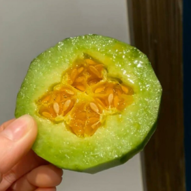 分享图片