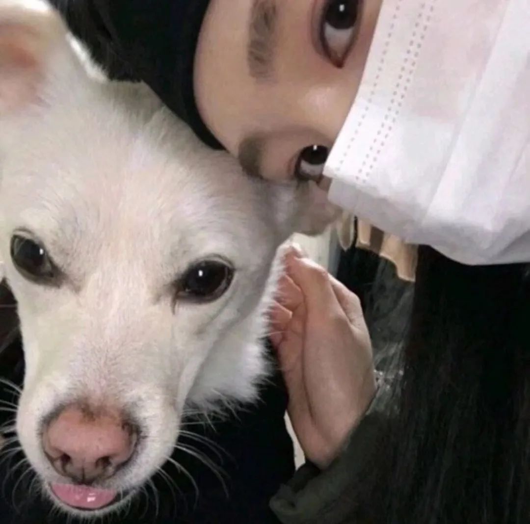 逗逗我的小狗