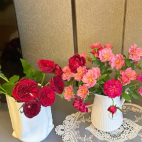 天生我才必有用，就是