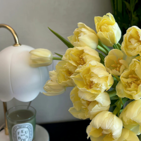 天生我才必有用，就是