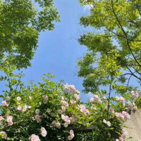 有些风景有些人,光是