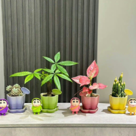 分享图片